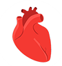 heart image