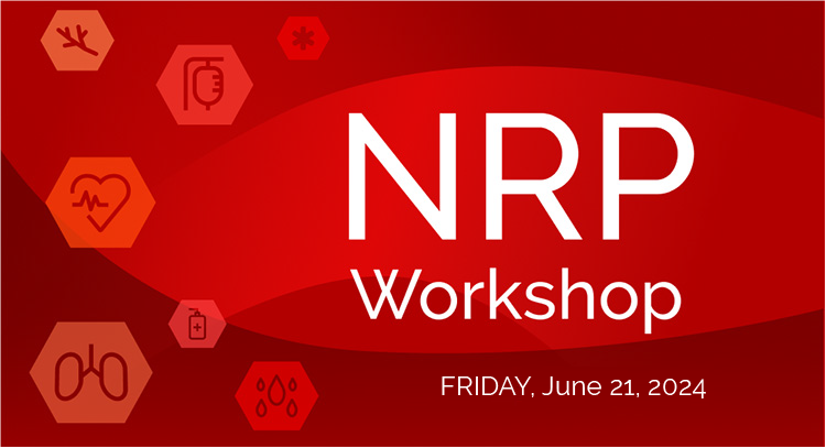 Abdominal Normothermic Regional Perfusion (NRP) Workshop