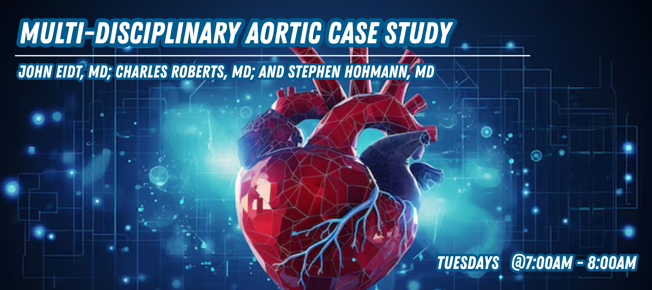 Multi-Disciplinary Aortic Case Study