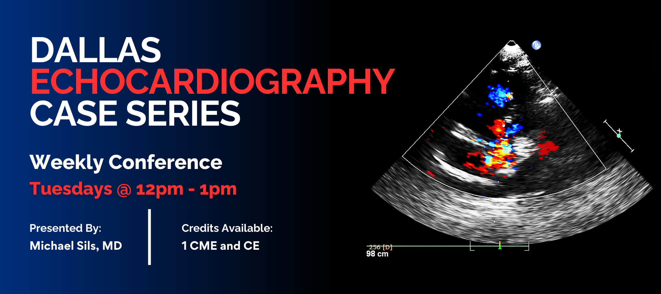 Dallas Echocardiography Case Series